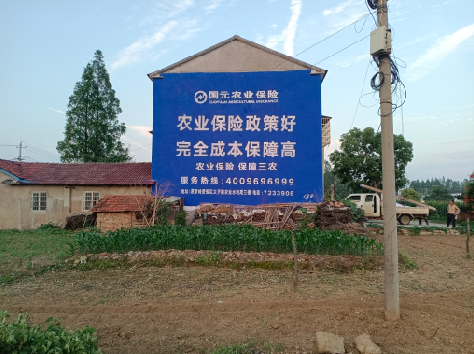 宣威墙体广告的优劣势你知道吗？